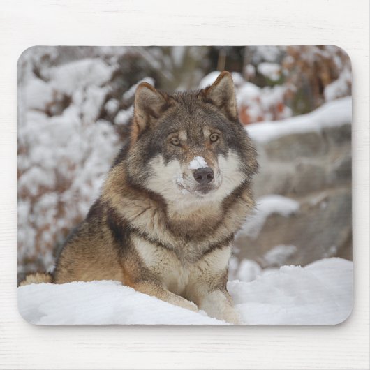 Winter Wolf Muismat (Voorkant)