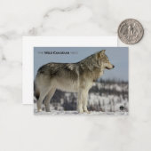 Winter - Wolf Notitiekaartje (Voorkant / Achterkant in situ)
