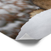 Winter Wolf Poster (Hoek)