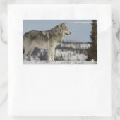 Winter - Wolf Rechthoekige Sticker (Tas)