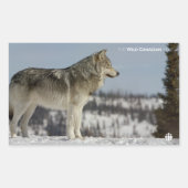 Winter - Wolf Rechthoekige Sticker (Voorkant)