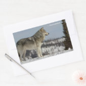 Winter - Wolf Rechthoekige Sticker (Envelop)