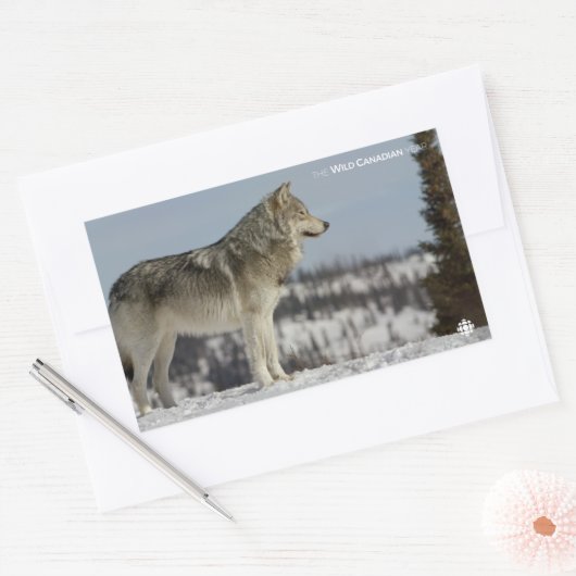 Winter - Wolf Rechthoekige Sticker (Envelop)