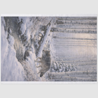 Winter Wolf Tissuepapier