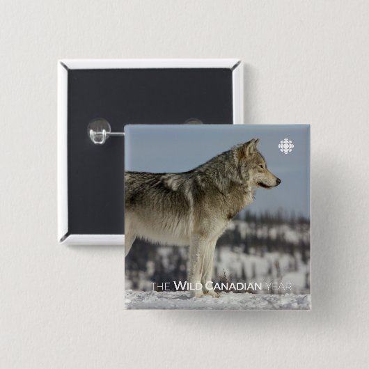 Winter - Wolf Vierkante Button 5,1 Cm (Voorkant /achterkant)