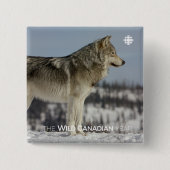 Winter - Wolf Vierkante Button 5,1 Cm (Voorkant)