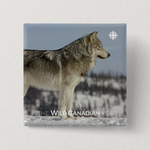 Winter - Wolf Vierkante Button 5,1 Cm