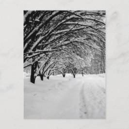 WINTER WONDER BRIEFKAART