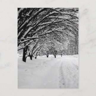 WINTER WONDER BRIEFKAART