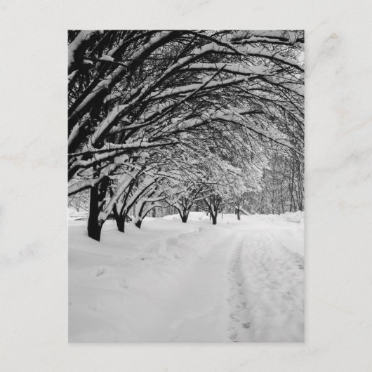 WINTER WONDER BRIEFKAART (Voorkant)