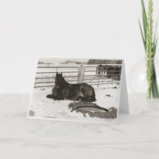 Winter Wonder Feestdagen Kaart