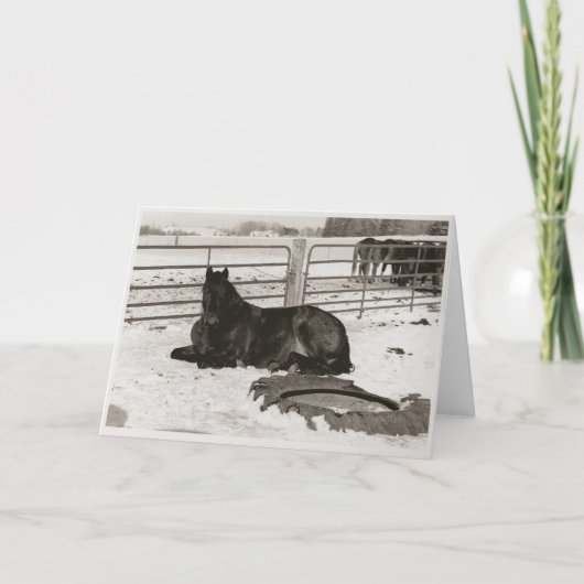 Winter Wonder Feestdagen Kaart (Voorkant)