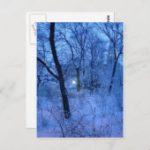 Winter Wonder Land Briefkaart (Voorkant / Achterkant)