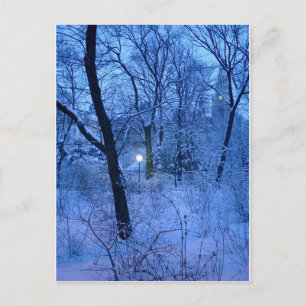 Winter Wonder Land Briefkaart