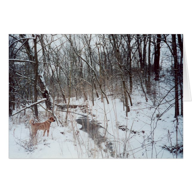 Winter Wonderland (Voorkant Horizontaal)