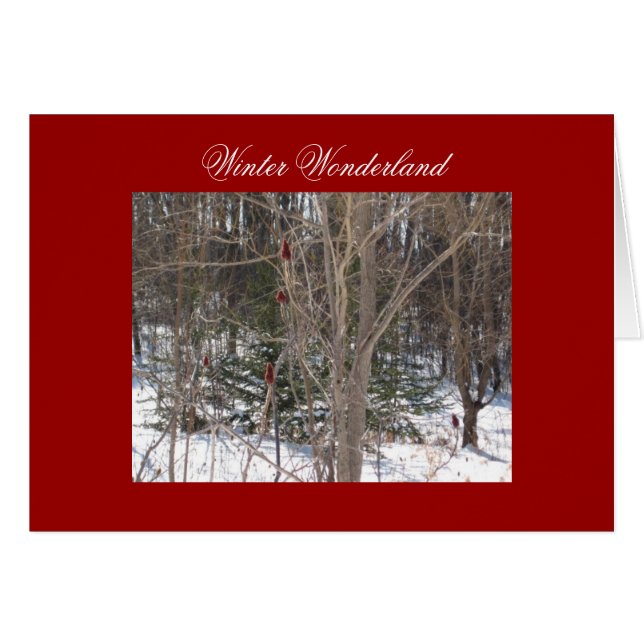 Winter Wonderland (Voorkant Horizontaal)