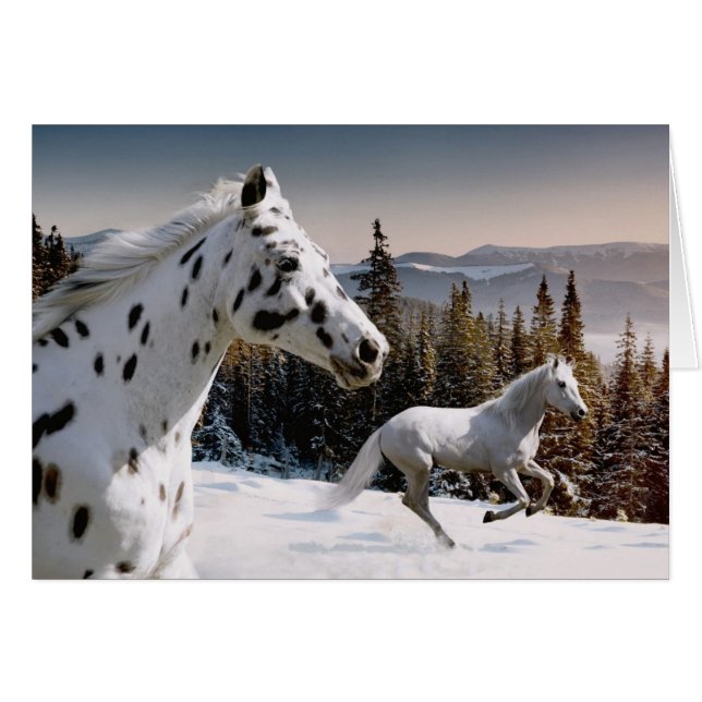 Winter Wonderland (Voorkant Horizontaal)