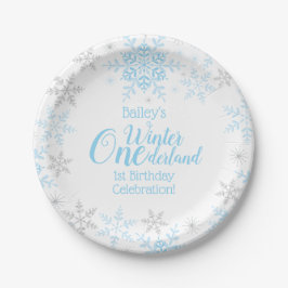 Winter Wonderland 1st Birthday Blue Snowflakes Papieren Bordje