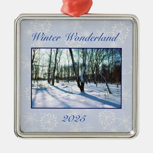 'Winter Wonderland' 2025 Ornament (Voorkant)