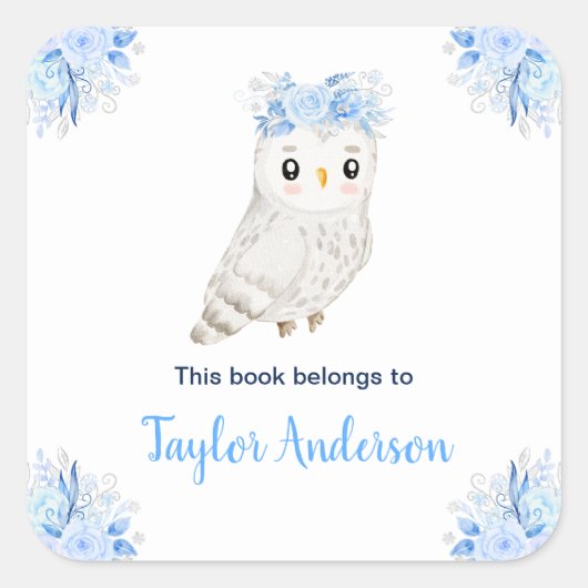 Winter Wonderland Arctic Owl Kids Bookplate Vierkante Sticker (Voorkant)