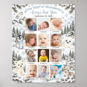 Winter Wonderland Arctische Dieren Eerste Jaar Fot Poster