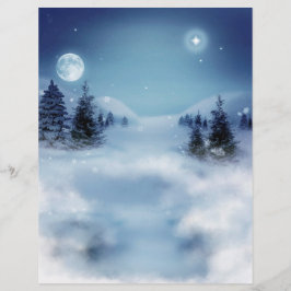 Winter Wonderland bij nacht