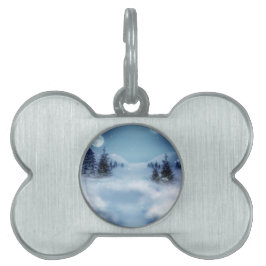 Winter Wonderland bij nacht Huisdieren Naamplaatje