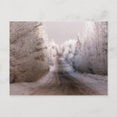 Winter Wonderland - Briefkaart (Voorkant)