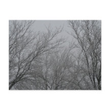 Winter Wonderland Briefkaart