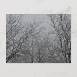 Winter Wonderland Briefkaart