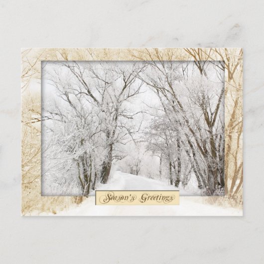 Winter Wonderland Briefkaart (Voorkant)