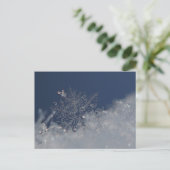 Winter Wonderland Briefkaart (Staand voorkant)