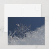 Winter Wonderland Briefkaart (Voorkant / Achterkant)