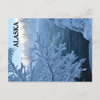 Winter Wonderland Briefkaart