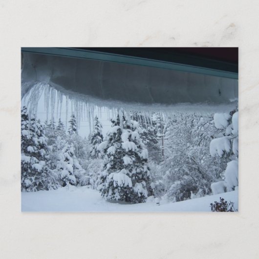 Winter Wonderland Briefkaart (Voorkant)