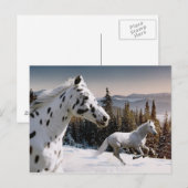 Winter Wonderland Briefkaart (Voorkant / Achterkant)