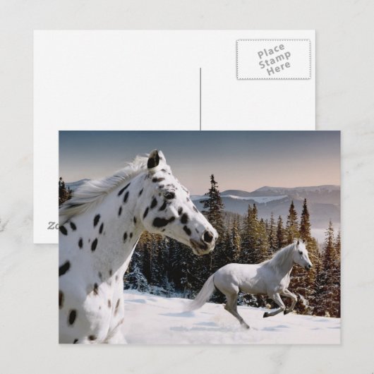 Winter Wonderland Briefkaart (Voorkant / Achterkant)