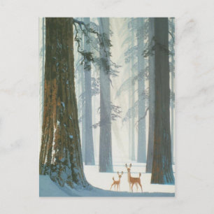 Winter Wonderland Briefkaart