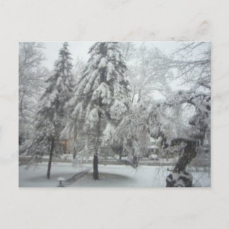 Winter Wonderland Briefkaart