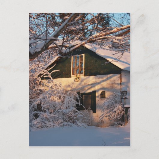Winter Wonderland Briefkaart (Voorkant)