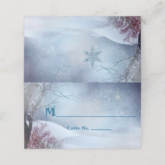 Winter Wonderland Bruiloft Plaatskaartje (Buitenkant ongevouwen)
