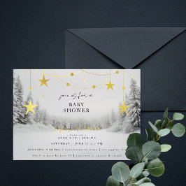Winter Wonderland Chic Grijs Goud Baby Borrel Kaart