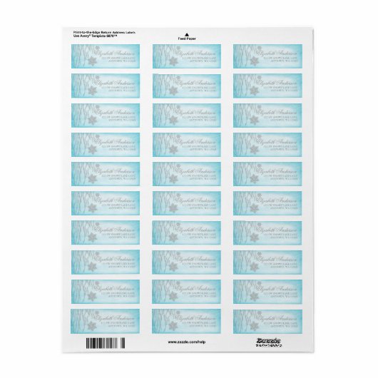 Winter Wonderland Diamond Sneeuwvlok Adresetikette Etiket (Full Sheet)