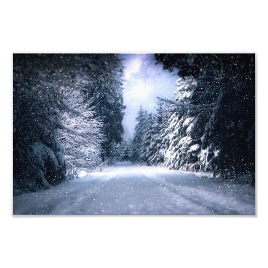 Winter Wonderland Forest Snowfall Foto Afdruk (Voorkant)
