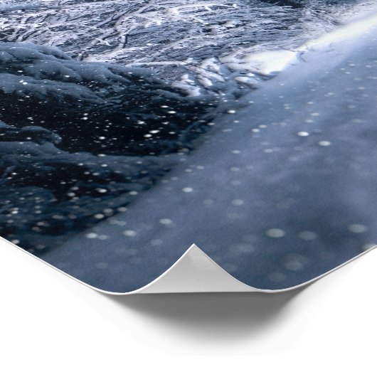 Winter Wonderland Forest Snowfall Poster (Hoek)