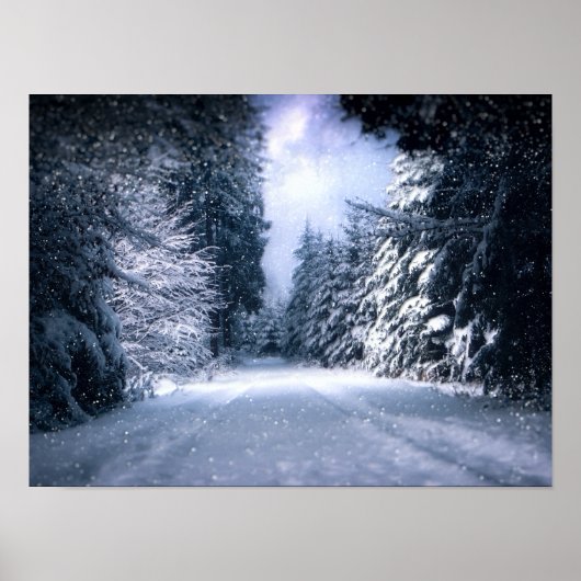 Winter Wonderland Forest Snowfall Poster (Voorkant)