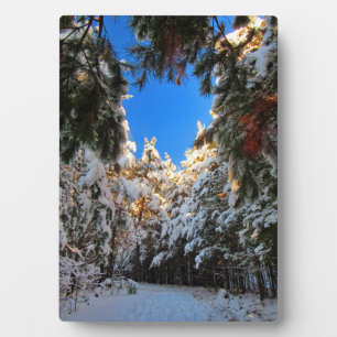 Winter Wonderland Fotoplaat