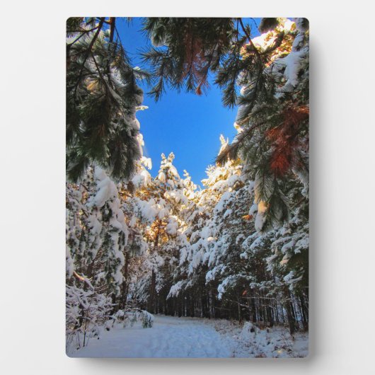 Winter Wonderland Fotoplaat (voorkant)