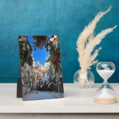 Winter Wonderland Fotoplaat (Zijkant)