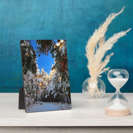 Winter Wonderland Fotoplaat (Zijkant)